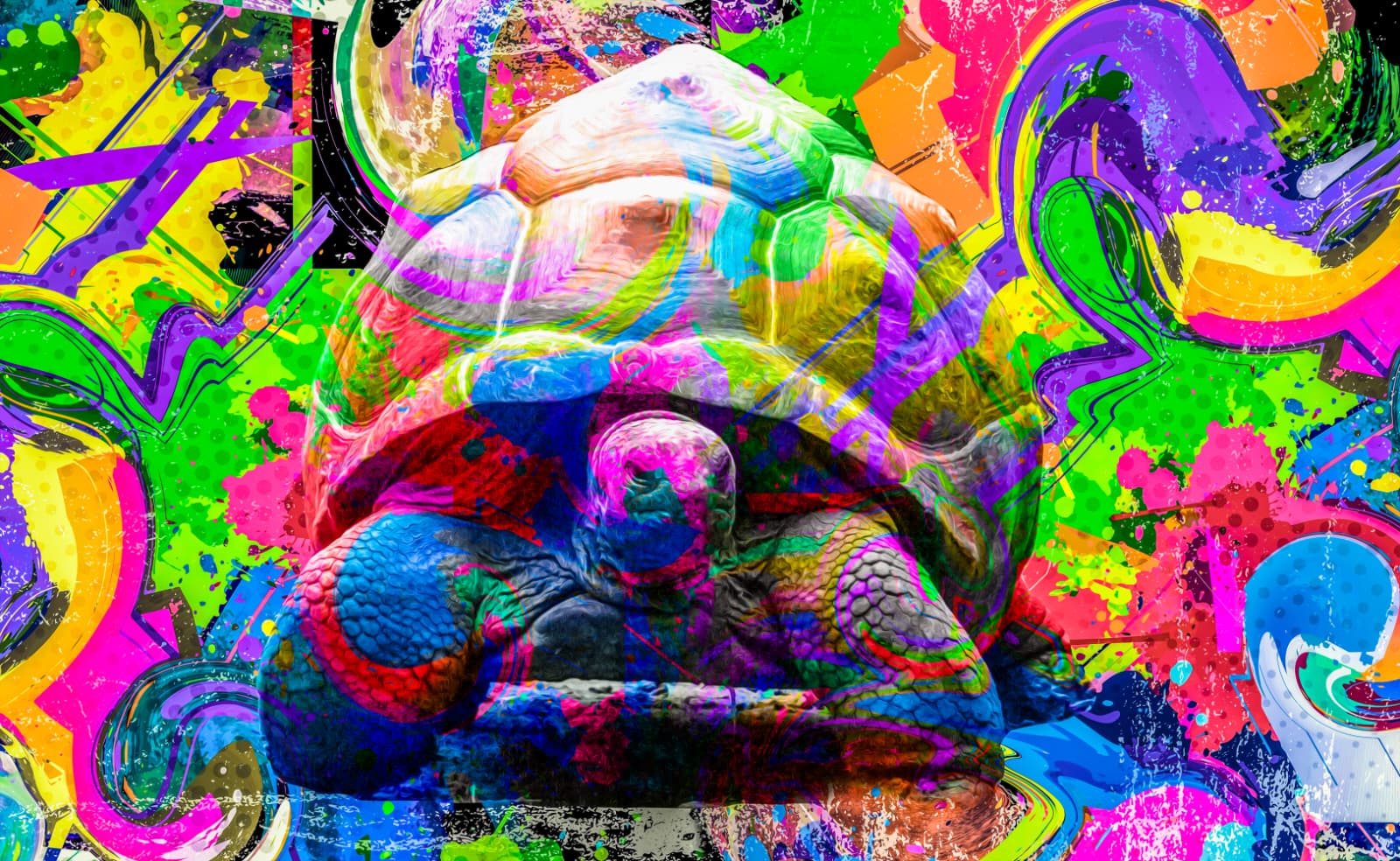 Alpha - Coleccion -  Callejero
